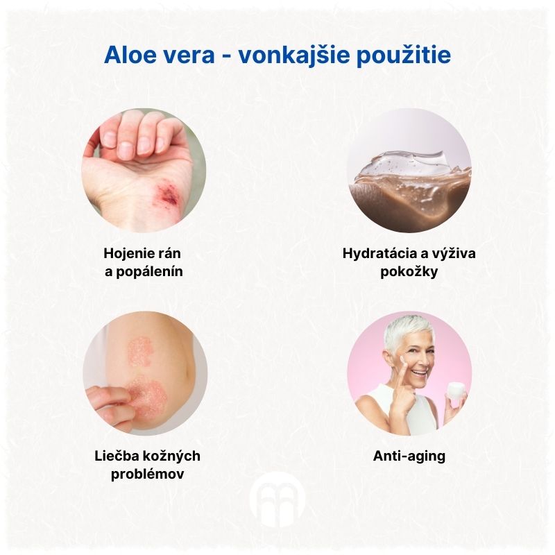 (Slovenčina) Aloe vera - zevní použití